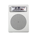Fire Alarm