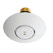 Escutcheon