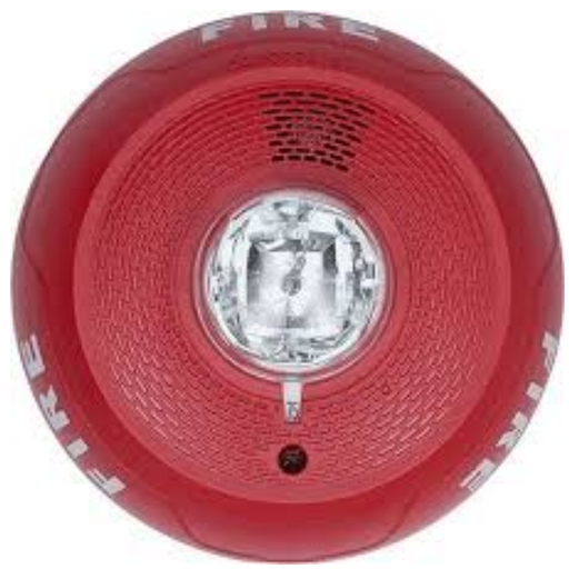 Horn-Strobe