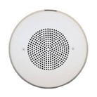 Fire Alarm