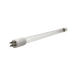 Bulbs