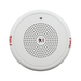 Fire Alarm